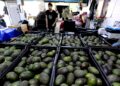 Chipotle downplays looming Trump tariffs, says only half of its avocados are from Mexico