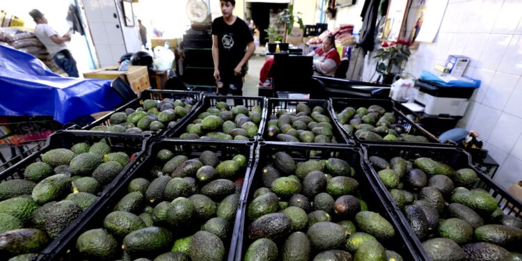 Chipotle downplays looming Trump tariffs, says only half of its avocados are from Mexico