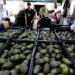 Chipotle downplays looming Trump tariffs, says only half of its avocados are from Mexico