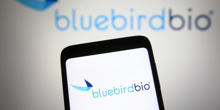 Once high-flying Bluebird Bio sells itself to private equity after tough times for the gene therapy maker