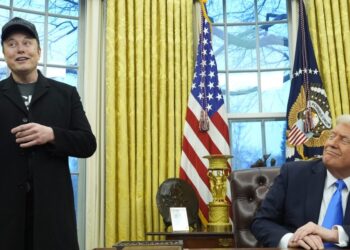 One by one, Republicans are speaking up against billionaire Elon Musk’s slash-and-burn DOGE tactics