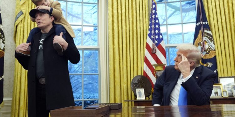 Trump offers mixed praise on Elon Musk — ‘seriously high IQ individual’ who has his faults