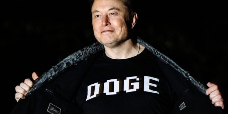 Elon Musk under pressure to quit DOGE as crucial Tesla earnings call looms