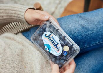 Inside the  billion berry startup backed by Ray Dalio’s family office