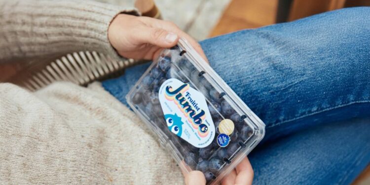 Inside the  billion berry startup backed by Ray Dalio’s family office