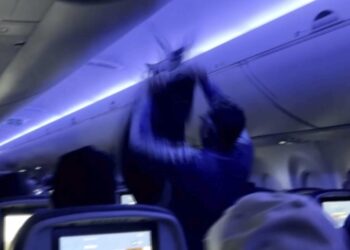 2 pigeons sneak onto Delta Air Lines plane, delaying flight twice