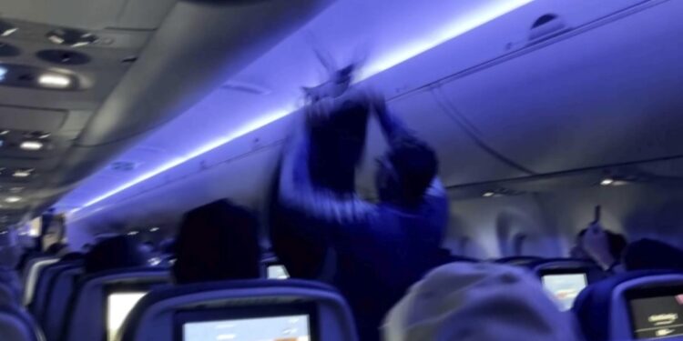 2 pigeons sneak onto Delta Air Lines plane, delaying flight twice 2 pigeons sneak onto Delta Air Lines plane, delaying flight twice