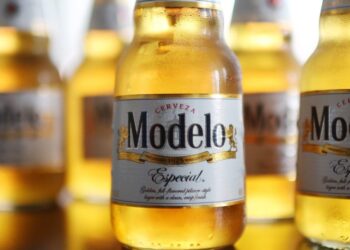 Modelo Especial soared to be the #1 beer in America. Then came Trump’s immigration crackdowns