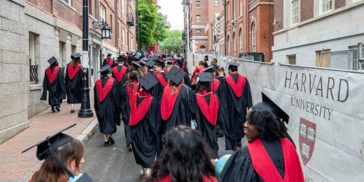 AI is gutting the next generation of talent: In tech, job openings for new grads have already been halved AI is gutting the next generation of talent: In tech, job openings for new grads have already been halved