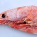 Walmart recalls potentially radioactive frozen shrimp sold in 13 states