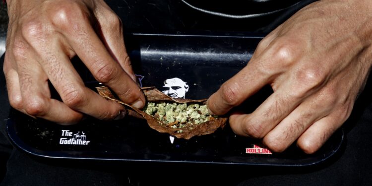 ‘Trump effect’ raises hopes for cannabis rally as investors bet on federal reforms, softer marijuana stance ‘Trump effect’ raises hopes for cannabis rally as investors bet on federal reforms, softer marijuana stance