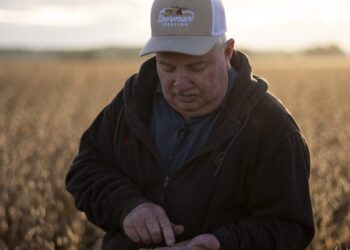 ‘We want to trust what we’ve heard’: Farmers remain unsettled on trade, even after China’s biggest U.S. soybean purchase in two years | Fortune
