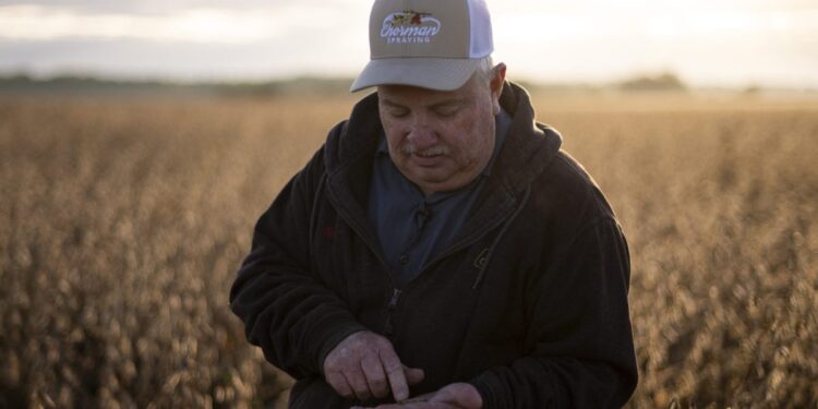 ‘We want to trust what we’ve heard’: Farmers remain unsettled on trade, even after China’s biggest U.S. soybean purchase in two years | Fortune