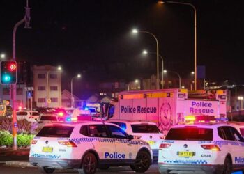 Hero bystander who tackled Bondi gunman praised by Trump, Ackman | Fortune Hero bystander who tackled Bondi gunman praised by Trump, Ackman | Fortune