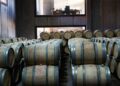Argentines once drank 90 liters of wine a year. Now they’re down to 15 — and 1,100 vineyards have already closed | Fortune