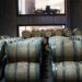 Argentines once drank 90 liters of wine a year. Now they’re down to 15 — and 1,100 vineyards have already closed | Fortune