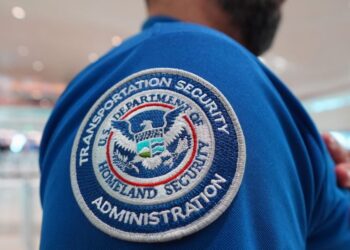 Top airline CEOs plead with Congress to restore DHS funding and pay airport workers. ‘Once again, air travel is the political football’ | Fortune