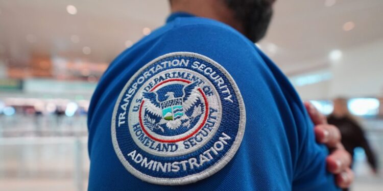 Top airline CEOs plead with Congress to restore DHS funding and pay airport workers. ‘Once again, air travel is the political football’ | Fortune