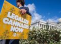 How Trump’s psychedelics executive order could unlock stalled cannabis reform