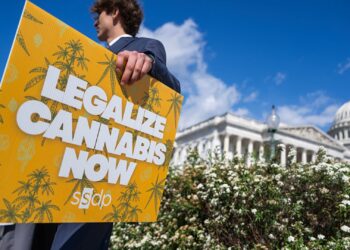 How Trump’s psychedelics executive order could unlock stalled cannabis reform