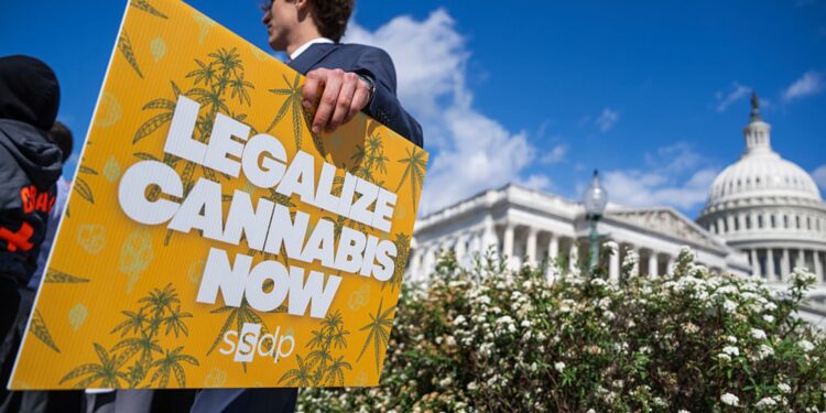 How Trump’s psychedelics executive order could unlock stalled cannabis reform