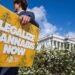 How Trump’s psychedelics executive order could unlock stalled cannabis reform