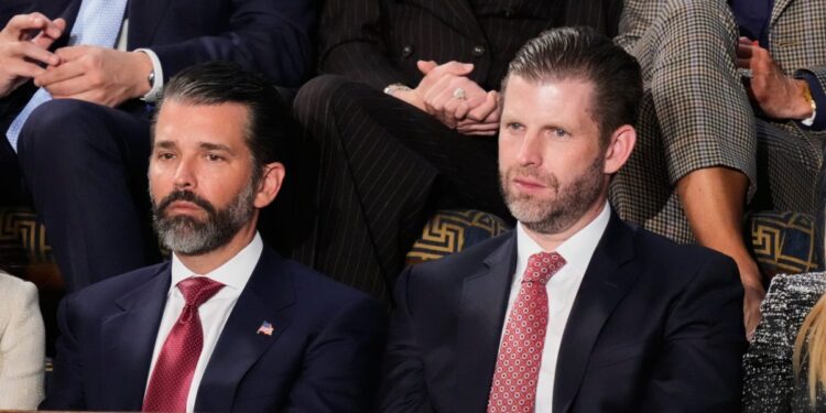 Trump sons to Gulf states: we’ve got some drone interception tech to sell you | Fortune Trump sons to Gulf states: we’ve got some drone interception tech to sell you | Fortune