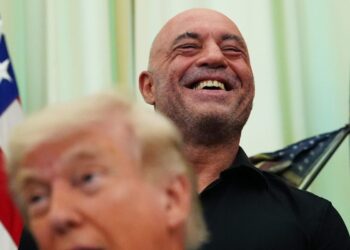 Trump speeds review of psychedelics after Joe Rogan texted him about ibogaine. ‘Sounds great. Do you want FDA approval? Let’s do it’ | Fortune