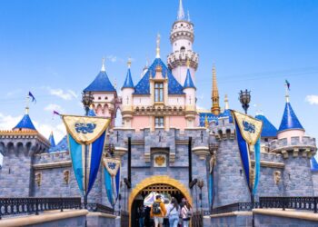 Disney’s new CEO is exploring a ‘super app’ for theme park tickets, movies and more | Fortune