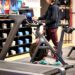 Peloton stock rises as higher subscription prices help company drive a profitable quarter