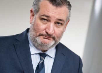 Ted Cruz says the quiet part out loud: Trump accounts are Social Security personal accounts as GOP senator reveals ‘dirty little secret’ | Fortune