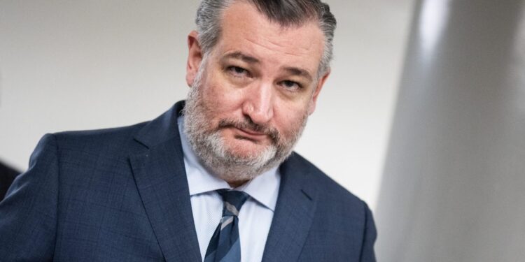 Ted Cruz says the quiet part out loud: Trump accounts are Social Security personal accounts as GOP senator reveals ‘dirty little secret’ | Fortune