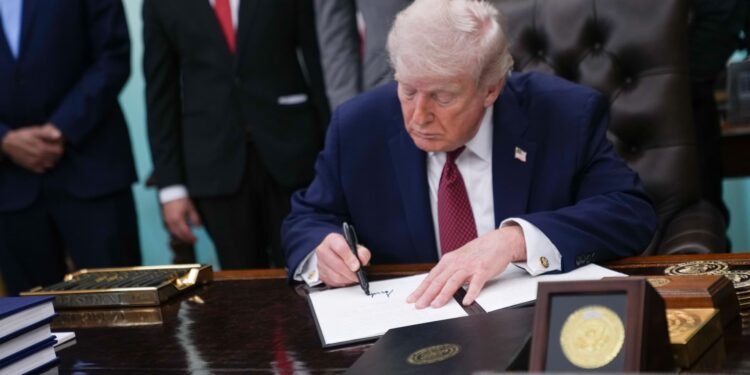 Why Trump reversed course to fast-track psychedelic drugs for mental healthcare Why Trump reversed course to fast-track psychedelic drugs for mental healthcare