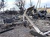 Hawaii s Maui island wildfires- Death toll hits 67 as questions raised over warnings
