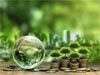 Sri Lanka among countries that could benefit from debt-for-nature swaps, says report