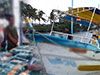 Owner of boat seized with heroine off Galle goes missing