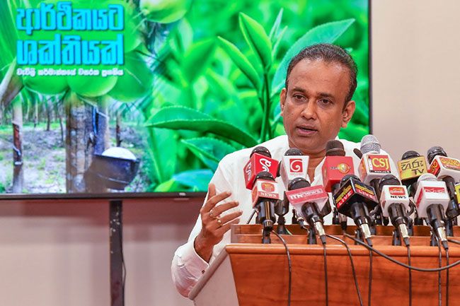 Second coconut triangle to be initiated in Northern Province, aimed at boosting exports