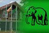 UNP decides to contest all upcoming elections only under elephant  symbol