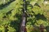 Two elephants killed in fuel train collision- Investigation launched on train s speed
