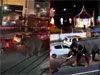 Perahera elephant goes on rampage in Mawanella town