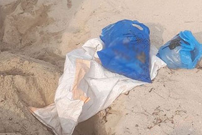 Kerala cannabis worth over Rs. 02 million held in Jaffna