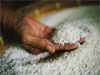 State Minister clears the air on rice imports State Minister clears the air on rice imports