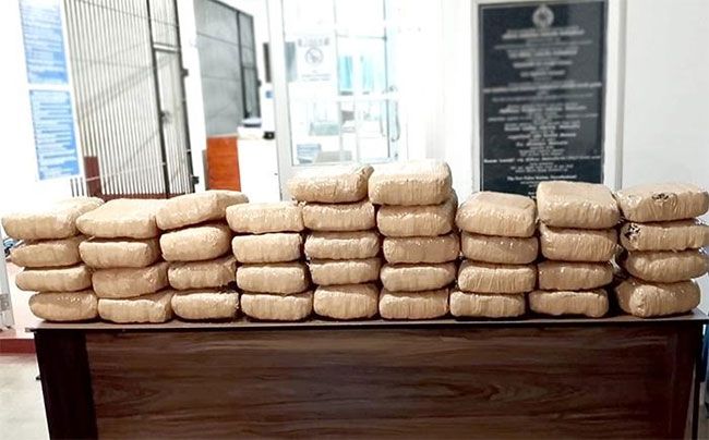 Kerala cannabis worth over Rs. 16 million seized in Mamunei