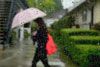 Showers about 75mm expected today