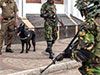 955 more suspects arrested during operation Yukthiya 955 more suspects arrested during operation Yukthiya