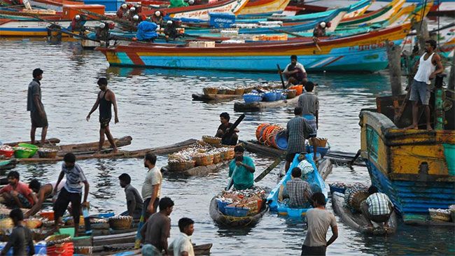 Rameswaram fishermen protest seeking fishers release from Sri Lankan custody