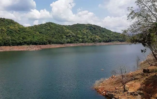 Over 700 rounds of ammunition recovered from Moragahakanda Reservoir