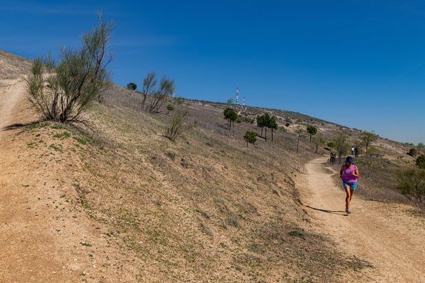 Heat And Drought Hamper Madrid's Urban Forest Plans