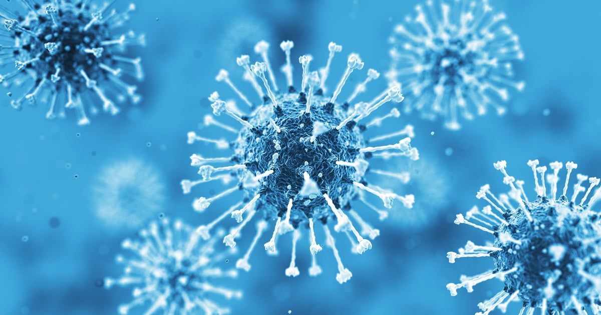 World leaders are gathering to discuss Disease X. Here’s what to know about the hypothetical pandemic.