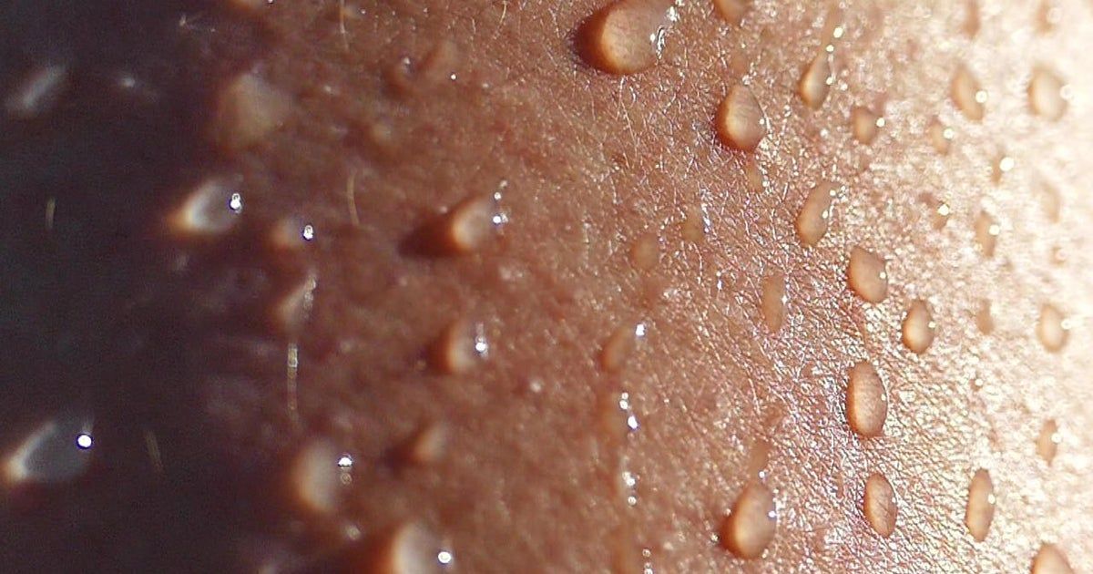 Why you sweat, and why that’s a good thing